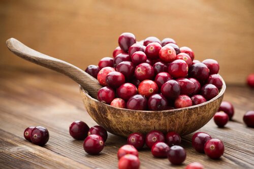 Berry heals the heart, curbs cancer cells