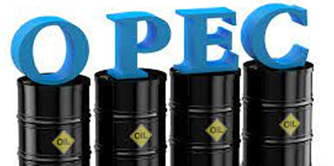 OPEC and IEA Divided on the Future of Oil Demand