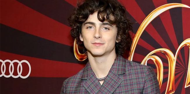 Timothee Chalamet's Experience with the 'Barbie' Cameo