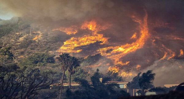 Air Quality in Los Angeles Wildfire Smoke Triggers Health Warnings Today