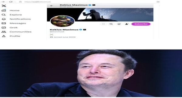 Elon musk renames on X as